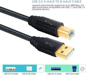 img 1 attached to 🖨️ Кабель принтера высокой скорости - 10FT/3M Нейлоновый оплетенный кабель USB 2.0 для принтера - Тип A мужской кабель к типу B мужского шнура с покрытым золотом разъемом - комплект из 2 шт. (Черный Черный)
