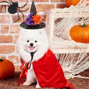 img 3 attached to 🎃 Halloween Pet Hats: 4 Adjustable Cute Witch Hats for Small Dogs and Cats with Fun Pumpkin, Bat, Owl, and Flower Ornaments - Perfect Pet Cosplay Accessories for Halloween!