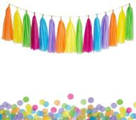 ansomo colorful garland rainbow multicolor logo