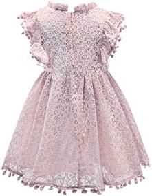 img 3 attached to 🌸 Csbks Toddler Girls Cute Pompoms Lace Floral Elegant Retro Swing Party Dress: Delightful and Stylish Outfit for Little Girls