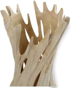 img 1 attached to 🌳 Sustainable Orchard Wood Hand-Cut Roro Mango Wood Concave Vase