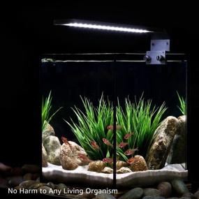 img 2 attached to TORCHSTAR LED Aquarium Light: Ultra Bright Fish Tank Lighting with Adjustable Clip and Waterproof Design - Perfect for Freshwater Aquarium Plants and Indoor Water Gardens (Pack of 2)