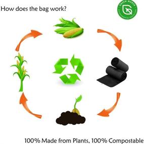 img 3 attached to Saedy Biodegradable Compost Gallon Counts