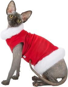 img 1 attached to Kotomoda Cats Sweater Santa Klaus