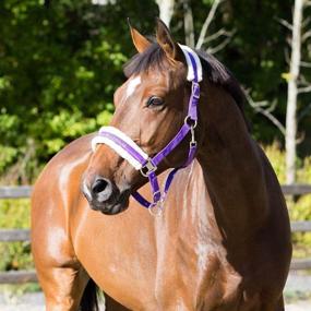 img 1 attached to 🐴 Howard Soft Fleece Padded Polyester Horse Halter by HORZE – Easy-to-Adjust Straps, Brushed Nickel Hardware