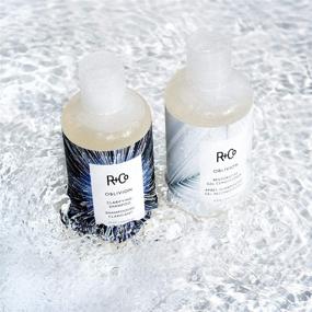 img 1 attached to 🧼 R+Co Oblivion Clarifying Shampoo - 6 Fl Oz: Detoxify and Revitalize Your Hair