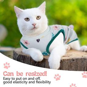 img 1 attached to Reginary 2 Pieces Cat Recovery Suits: Breathable Anti-Licking Body Wrap for Cats & Dogs, Ideal for Abdominal Wound Recovery & Weaning