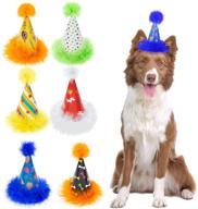 tailgoo dog party hat set logo