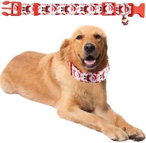 img 2 attached to 🎅 Bolbove Adjustable Festive Christmas Santa Collar and Leash Set with Bell for Dogs during Holiday Season