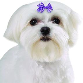 img 1 attached to 🐶 Enhance Your Pup's Style with Aria Gracie Bows for Dogs: 48-Piece Canisters