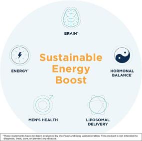 img 3 attached to Quicksilver Scientific NanoMojo Liposomal Adaptogenic