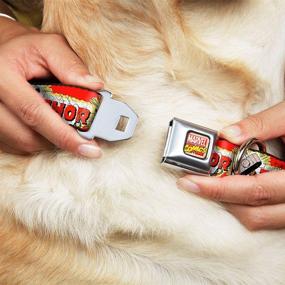 img 3 attached to 🐶 Thor & Hammer Red/Yellow/White Buckle-Down Seatbelt Buckle Dog Collar