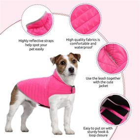 img 1 attached to 🐶 Queenmore Cold Weather Dog Jacket: Reversible Waterproof Reflective Vest for Small, Medium, Large Dogs