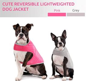 img 2 attached to 🐶 Queenmore Cold Weather Dog Jacket: Reversible Waterproof Reflective Vest for Small, Medium, Large Dogs