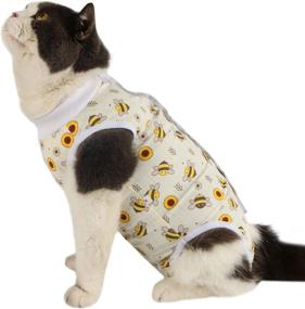 img 3 attached to 🐶 Recovery Suit for Small Dogs - Comfortable Alternative to Pet Cone E-Collars After Surgery - 'Due Felice' Cat Surgical Onesie