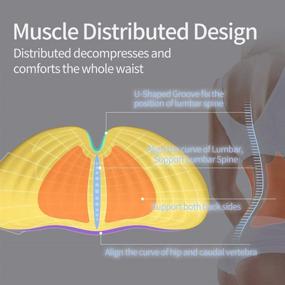 img 2 attached to 💤 Подушка для поясницы для сна - максимальная поддержка нижней спины для бокового, спинного и животного сна - ночная версия