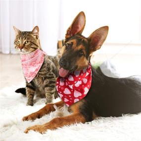 img 2 attached to Моющийся треугольник с шейным платком Valentines Bandana