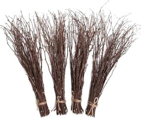 img 4 attached to 🌿 200 Pcs Natural Birch Branches - Alater Birch Twigs for Crafts, Wedding Decorations, Party or Home Décor