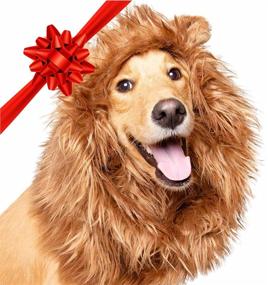 img 4 attached to 🦁 Purrfect Pet Krewe Dog Lion Mane Halloween Costume: A Majestic Addition for Dogs of All Sizes – Pawsome for Halloween, Dog Birthday, Cosplay, Outfits & Pet Clothes!