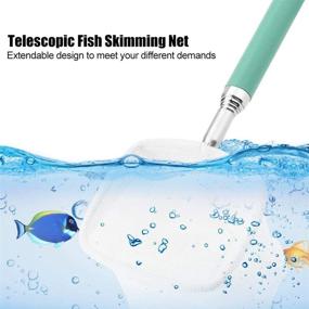 img 2 attached to 🎣 Pssopp Extendable Telescopic Fishing Landing Net - Stainless Steel Handle for Aquariums, Fish Tanks, Ponds, and Creeks - Ideal for Skimming Fish and Shrimp