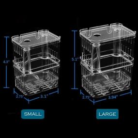 img 1 attached to Petzilla In-Tank Fish Tank Breeder Box - Aquarium Breeding Incubator for Small Fish Hatchery, Acrylic Divider for Shrimp, Clownfish, Aggressive & Injured Fish