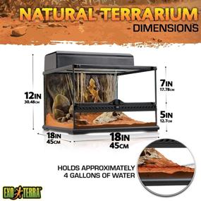 img 3 attached to 🦎 Exo Terra Short All Glass Terrarium - Compact 18x18x12-Inch Enclosure