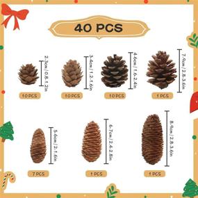 img 2 attached to Pine Cones Decorations Natural Package