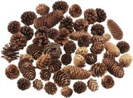 pine cones decorations natural package logo