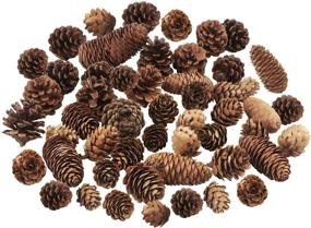 img 4 attached to Pine Cones Decorations Natural Package