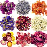 🌸 dried flower kit - oameusa dried flowers - aaa food grade pink rose, lily, lavender, roseleaf, jasmine flower - candle making, soap making - 9 bags logo