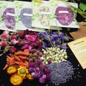 img 2 attached to 🌸 Dried Flower Kit - Oameusa Dried Flowers - AAA Food Grade Pink Rose, Lily, Lavender, Roseleaf, Jasmine Flower - Candle Making, Soap Making - 9 Bags