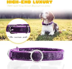 img 3 attached to 🐶 PetsHome Cat Collar and Dog Collar Set - Adjustable Collars for Cats and Small Dogs [Bling Beautiful Design]