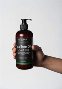 img 1 attached to Premium Baebody Tea Tree Oil Shampoo: 16 Oz - Gentle Cleansing for Dandruff, Dry Hair & Itchy Scalp