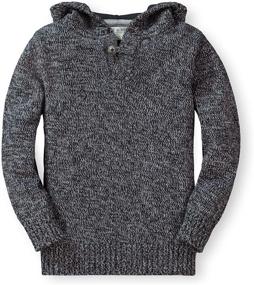 img 4 attached to 👦 Hope Henry Boys' Clothing and Sweaters: Hooded Pullover Sweater