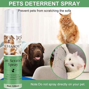 img 2 attached to 🐈 SEGMINISMART Cat Scratch Deterrent Spray for Plants, Furniture, and Floors - Stop Scratch Training Spray for Cats