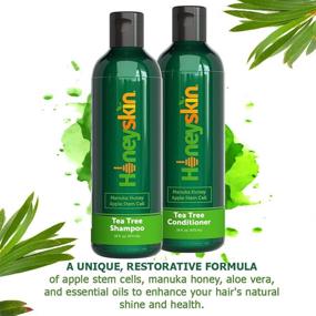 img 1 attached to Dandruff Treatment Set: Tea Tree Shampoo and Conditioner with Organic Tea Tree Oil, Manuka Honey, Aloe 🌿 Vera & Coconut (16oz) - Sulfate and Paraben Free - Effective Itchy Scalp Treatment for Women and Men