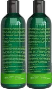 img 3 attached to Dandruff Treatment Set: Tea Tree Shampoo and Conditioner with Organic Tea Tree Oil, Manuka Honey, Aloe 🌿 Vera & Coconut (16oz) - Sulfate and Paraben Free - Effective Itchy Scalp Treatment for Women and Men