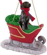 🎄 get into the festive spirit with the conversation concepts german shorthaired pointer sleigh ride christmas ornament - simply delightful! logo