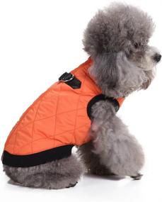 img 4 attached to SMALLLEE_LUCKY_STORE XCW0042 Orange S Jacket Winter Orange