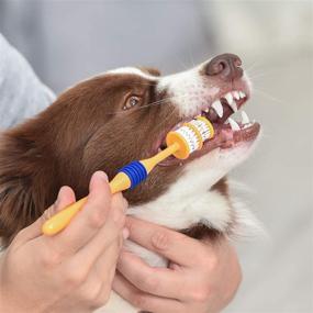 img 1 attached to 🐶 Arm & Hammer for Pets - Spectrum 360 Degree Dog Toothbrush - Ideal for Small and Large Dogs - Pet Toothbrush to Eliminate Plaque and Tartar - Dog Dental Care Tool from Arm and Hammer - Promote Healthy and Clean Dog Teeth