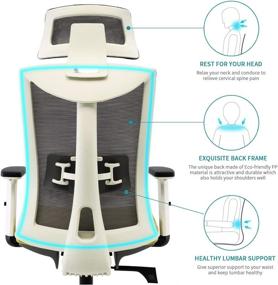 img 2 attached to SIHOO Gray Ergonomic Office Chair: Adjustable Lumbar Support, Breathable Mesh Back, and Armrests - Perfect Computer Chair for Work