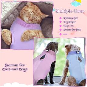 img 3 attached to 🐱 Nuanchu Cat Recovery Suit: E-Collar Alternative for Cats and Dogs - Anti Licking Abdominal Skin Pajama Suit - 3 Pieces Set