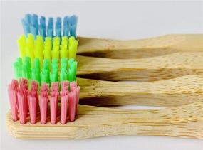 img 2 attached to EcoFrenzy Kids Bamboo Toothbrush - Child Size Soft BPA Free Color Safe Bristles (4-Pack) - Enhance SEO