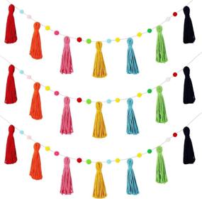 img 4 attached to Vibrant Rainbow Tassel Garland: Macrame Woven Decor for Baby Showers, New Year & Valentine's Day