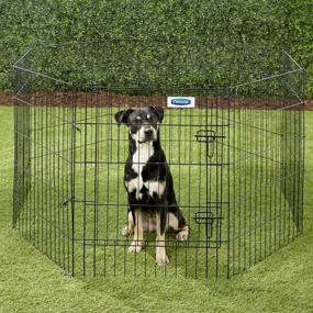 img 3 attached to 🐾 Petmate Exercise Pen with Step-Through Door - 8 Panels for Optimal Pet Playtime