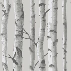 img 3 attached to 🌿 Enhanced SEO: NuWallpaper NU1694 Peel & Stick Mountain Birch Grey Wallpaper