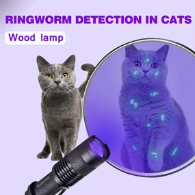img 2 attached to 🔦 UV Ultraviolet Blacklight Penlight Flashlight Torch for Pet Urine Detection + Bed Bug, Fluorescent, AC Leak, Resin Curing - Handheld Detector (1 Pack)
