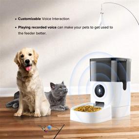 img 2 attached to 🐾 Apexto 2.4G Wi-Fi Automatic Pet Feeder with 1080p HD Camera, Smart Pet Camera Feeder & Monitor for Dog Cat - Dry Food, 4L Capacity