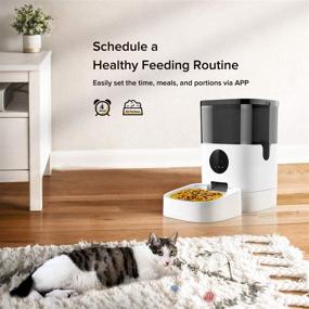 img 1 attached to 🐾 Apexto 2.4G Wi-Fi Automatic Pet Feeder with 1080p HD Camera, Smart Pet Camera Feeder & Monitor for Dog Cat - Dry Food, 4L Capacity