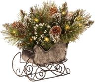 national tree 10 inch glittery bristle pine sleigh: white cones, 15 led lights (gb3-300-10-b) logo